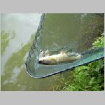 Majdalena 25.6.2008 -30.JPG